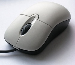 mouse.jpg Mouse